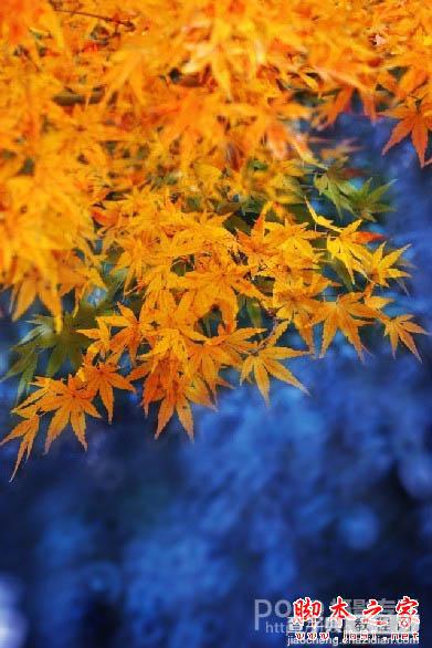 Photoshop将秋季枫叶图片打造出梦幻烟雾特效10