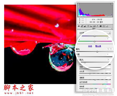 PS教你制造出花瓣上水滴透视效果4