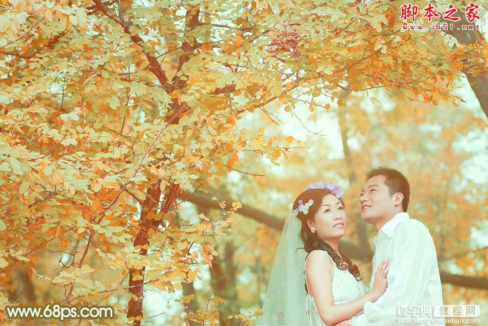 Photoshop将树林婚片打造出柔美的橙绿色2