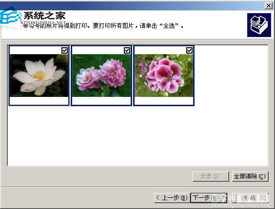 WinXP使用图片和传真查看器功能在一张纸上打印多幅图片2