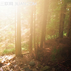 photoshop快速将偏暗的森林图片打造迷人的霞光色5