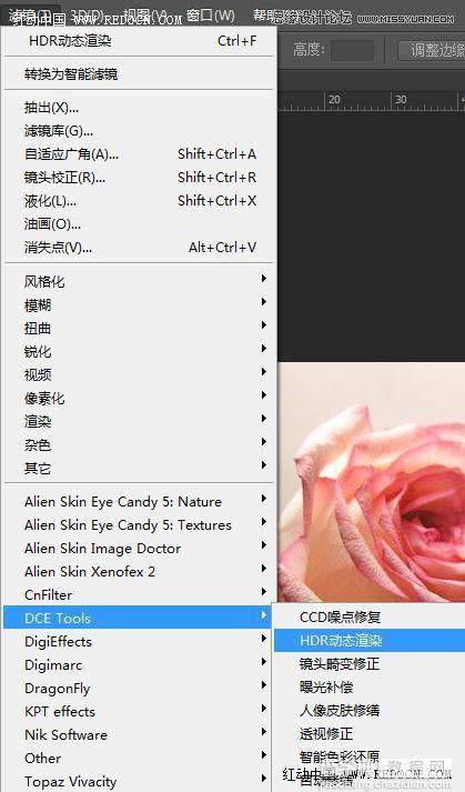 Photoshop利用Camera Raw和HDR动态渲染滤镜调出柔美清新的粉色玫瑰9