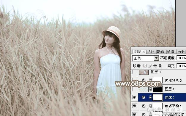 Photoshop为芦苇中的美女加上柔和的古典冷调粉褐色21