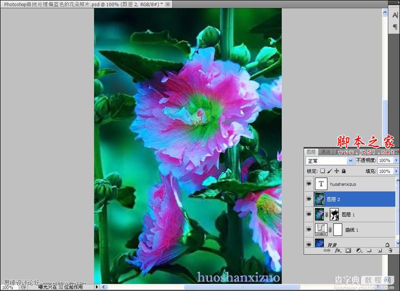 Photoshop使用色彩平衡和曲线工具为严重偏色的花朵照片较色10