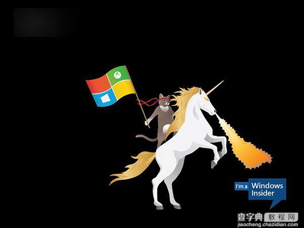 微软Win10 Insider壁纸下载：骑独角鲸、恐龙的忍者猫壁纸3