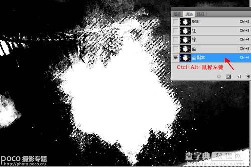 ps为花卉后期处理增添写意烟雾效果8