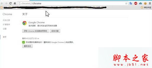 Win10系统下谷歌浏览器升级失败提示错误代码0x00000的原因及解决方法4