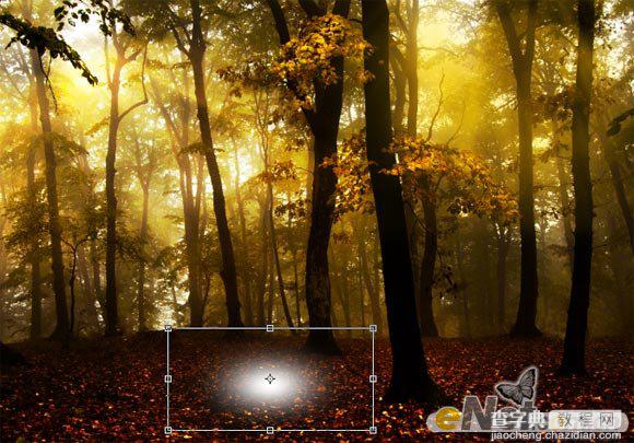 Photoshop使用HDR功能调制出阳光直射的梦幻森林场景6