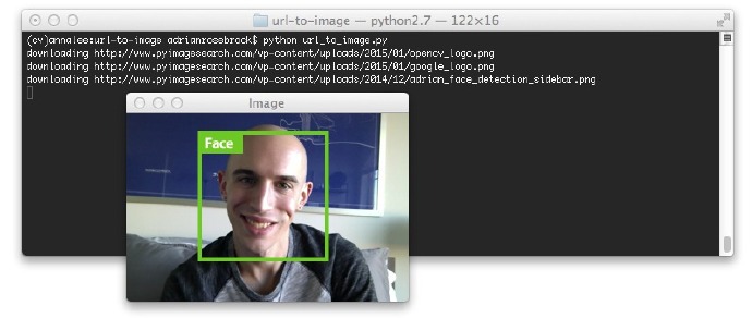 利用Python和OpenCV库将URL转换为OpenCV格式的方法4