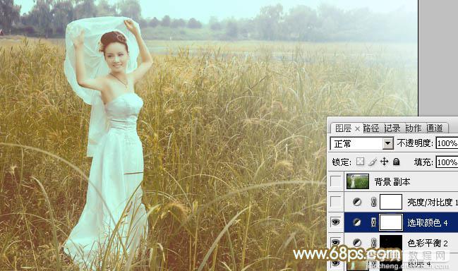 Photoshop将芦苇中的美女图片增加流行的青黄色效果29
