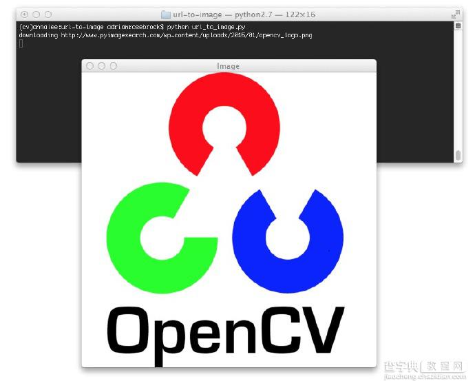 利用Python和OpenCV库将URL转换为OpenCV格式的方法1