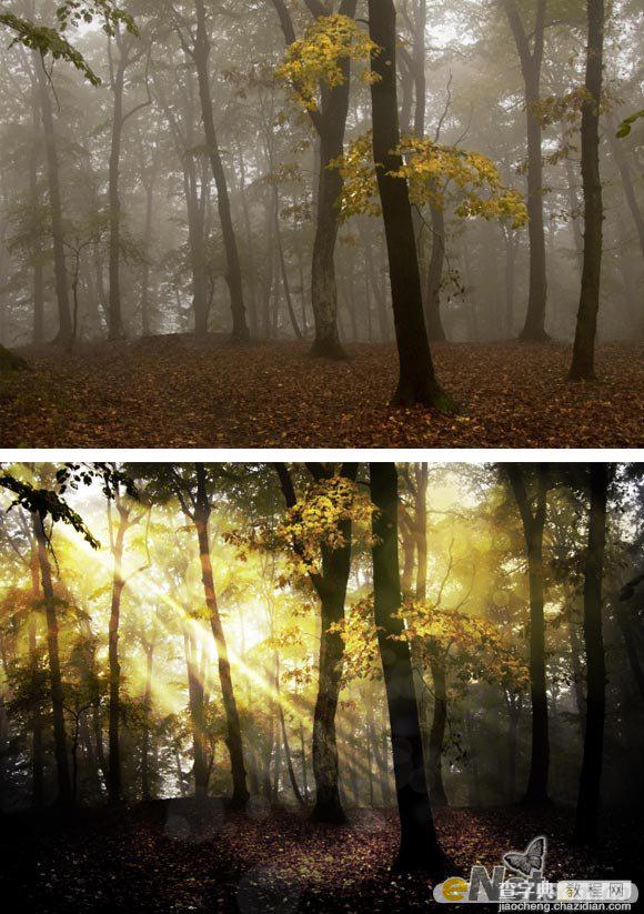 Photoshop使用HDR功能调制出阳光直射的梦幻森林场景1
