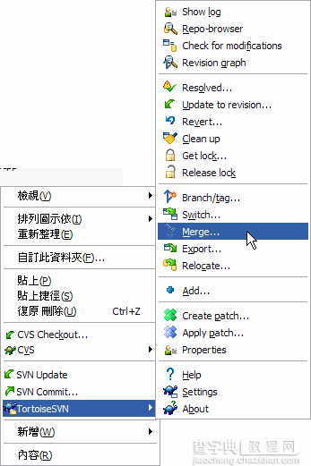 TortoiseSVN使用教程29