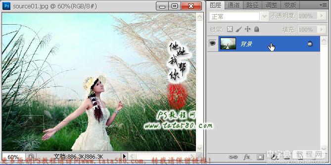 photoshop为芦草中美女鼠绘出透明纱巾教程3