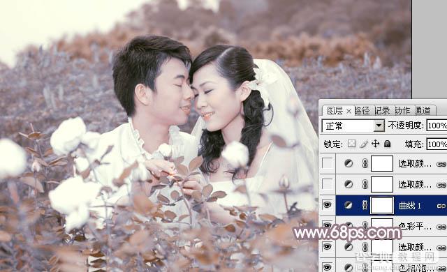 Photoshop为玫瑰园婚照调制出蓝紫中性色16