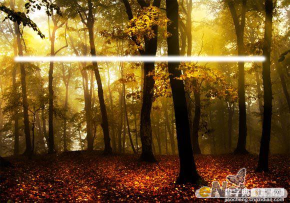Photoshop使用HDR功能调制出阳光直射的梦幻森林场景8