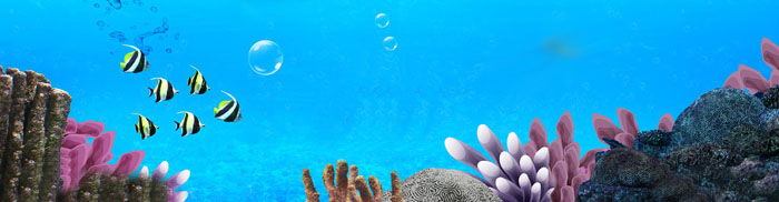 Photoshop打造在海面跳跃的清爽夏季海景婚片17