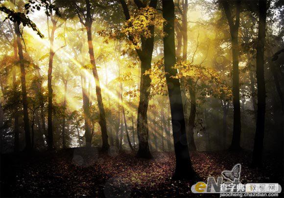 Photoshop使用HDR功能调制出阳光直射的梦幻森林场景16