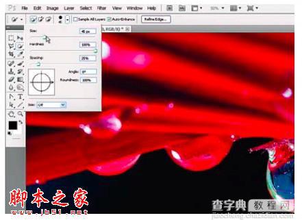 PS教你制造出花瓣上水滴透视效果5