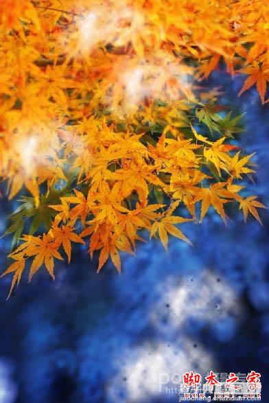 Photoshop将秋季枫叶图片打造出梦幻烟雾特效11