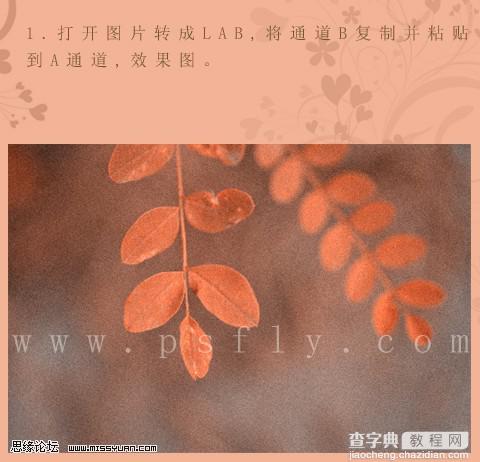 photoshop利用通道替换将槐树叶图片制作出怀旧的暖褐色3