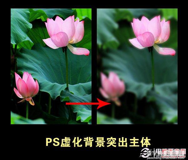 如何使用PS虚化背景突出主体 Photoshop高斯模糊实例教程1