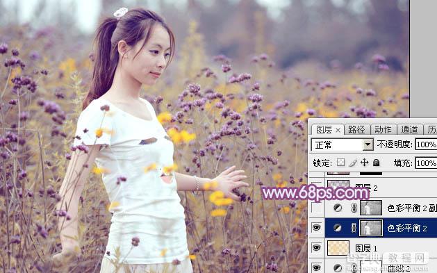 Photoshop为站在野花从中的美女调制出柔美的淡紫色30