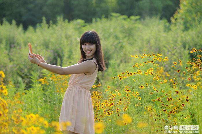 Photoshop将偏暗野花中的美女图片调制出纯美的淡黄色1