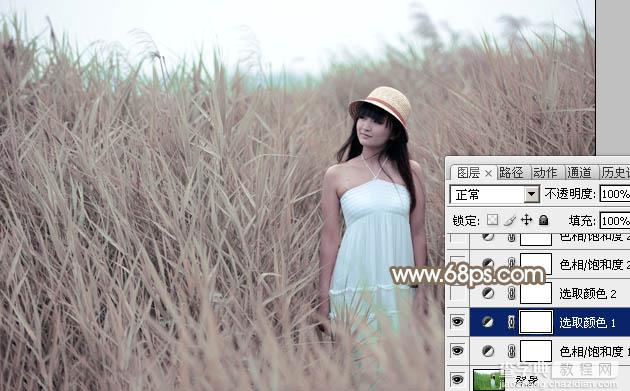 Photoshop为芦苇中的美女加上柔和的古典冷调粉褐色8