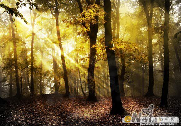 Photoshop使用HDR功能调制出阳光直射的梦幻森林场景12