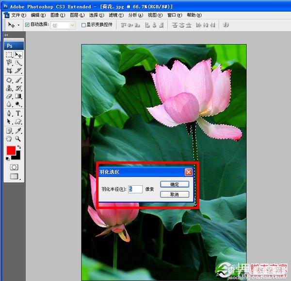 如何使用PS虚化背景突出主体 Photoshop高斯模糊实例教程3