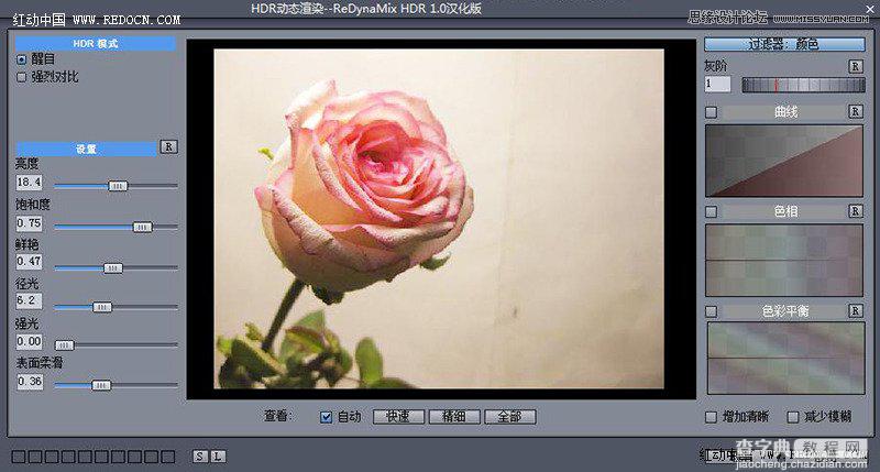 Photoshop利用Camera Raw和HDR动态渲染滤镜调出柔美清新的粉色玫瑰10