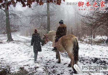 Photoshop使用滤镜模拟逼真的雪花飘飞场景5