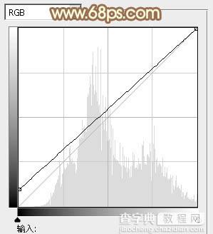 Photoshop给外景人物图片打造出柔美的秋季棕黄色21