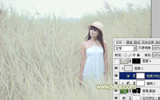 Photoshop将芦苇美女图片打造非常淡雅的冷色调27