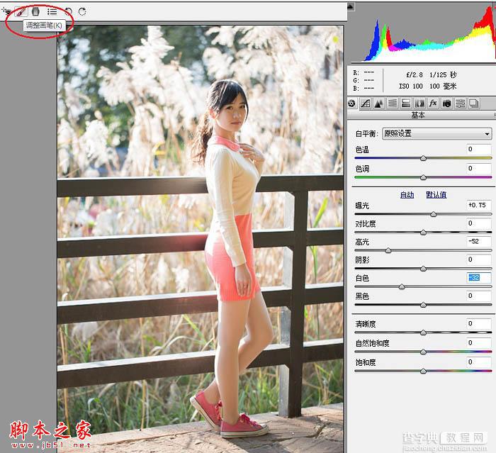 Photoshop将秋季芦苇边的美女图片增加上通透的甜美色4