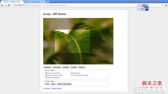 jcrop 网页截图工具(插件)开发8