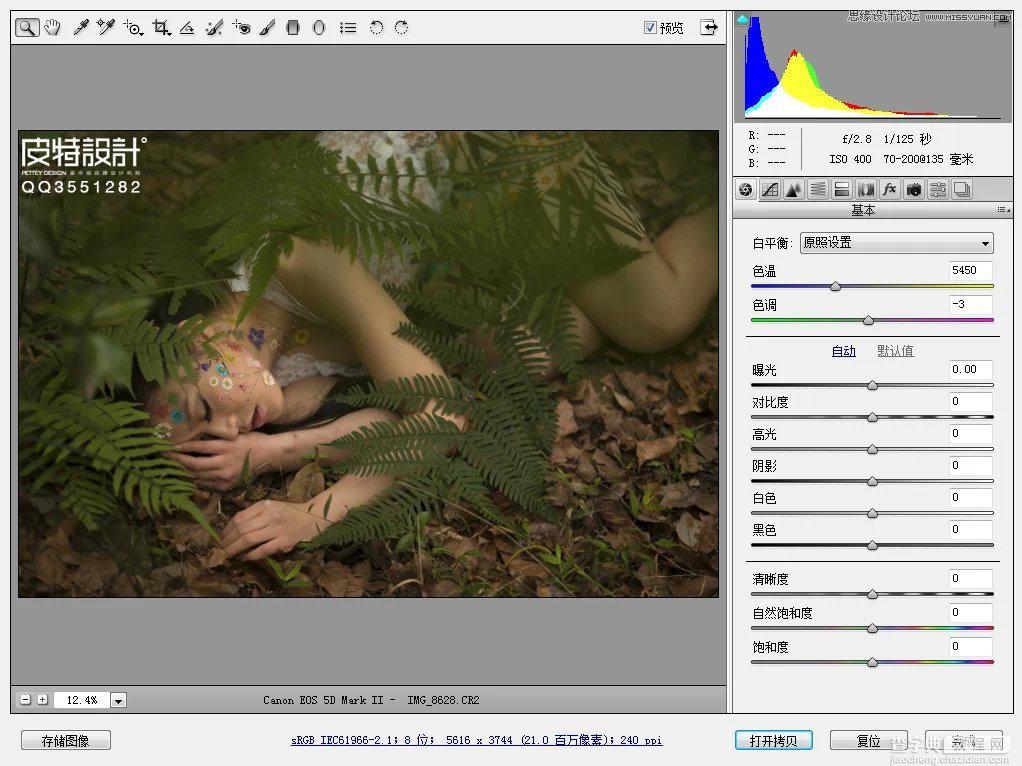 Photoshop调出唯美的中性色森林美女3