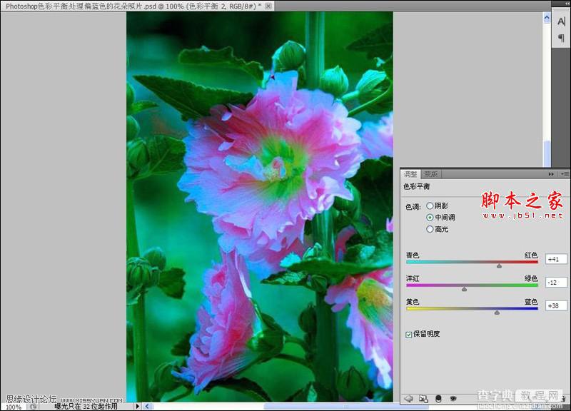 Photoshop使用色彩平衡和曲线工具为严重偏色的花朵照片较色5