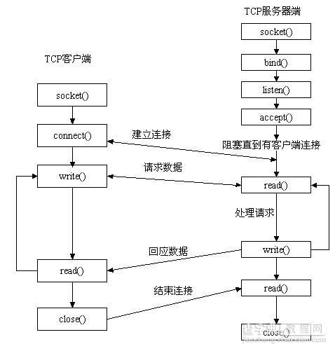 C++ 网络编程 总结1