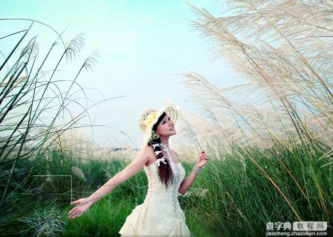 photoshop为芦草中美女鼠绘出透明纱巾教程2