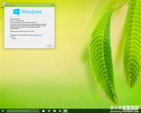 最新版Windows 10 Build 10036最新海量截图1