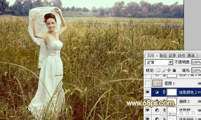 Photoshop将芦苇中的美女图片增加流行的青黄色效果16