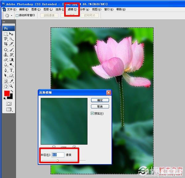 如何使用PS虚化背景突出主体 Photoshop高斯模糊实例教程4