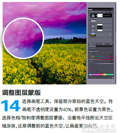 PS调整油菜花图片的光线与色彩14