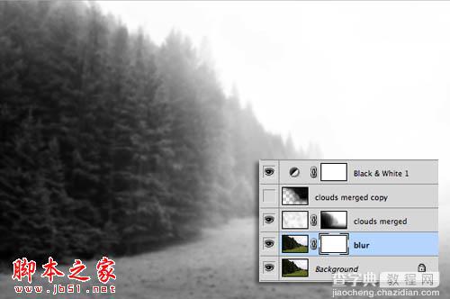 Photoshop为树林图片增加上淡灰色迷雾12