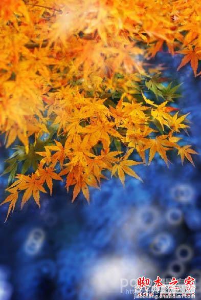 Photoshop将秋季枫叶图片打造出梦幻烟雾特效13