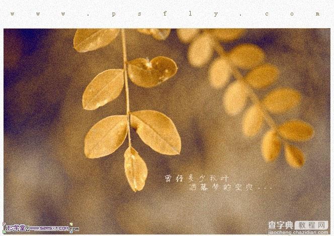 photoshop利用通道替换将槐树叶图片制作出怀旧的暖褐色2