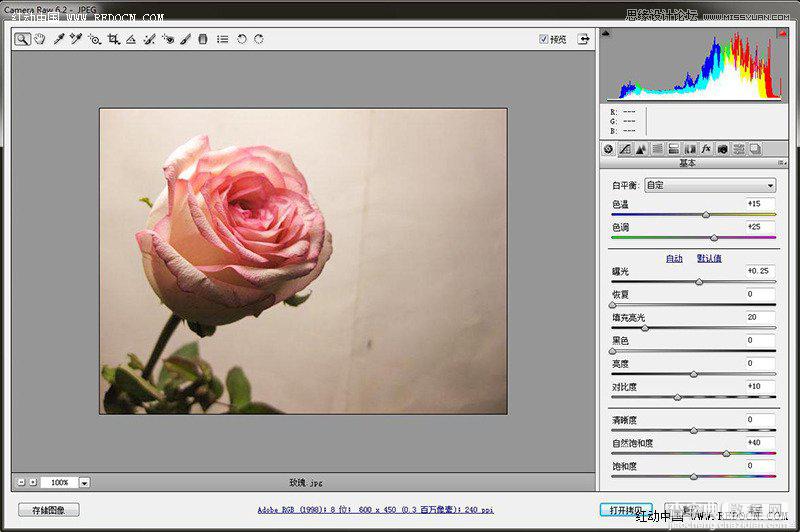 Photoshop利用Camera Raw和HDR动态渲染滤镜调出柔美清新的粉色玫瑰6