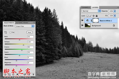 Photoshop为树林图片增加上淡灰色迷雾3